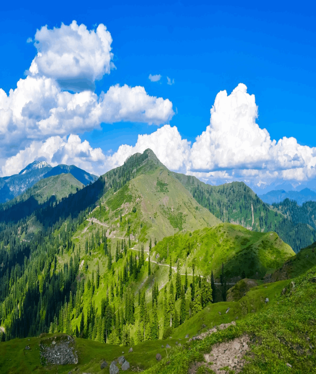 India Kashmir & Delhi Tour Package